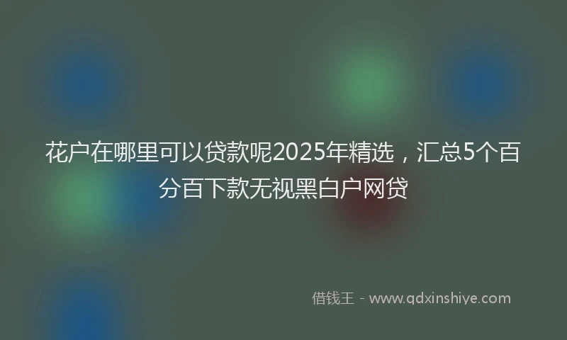 花户在哪里可以贷款呢2025年精选，汇总5个百分百下款无视黑白户网贷