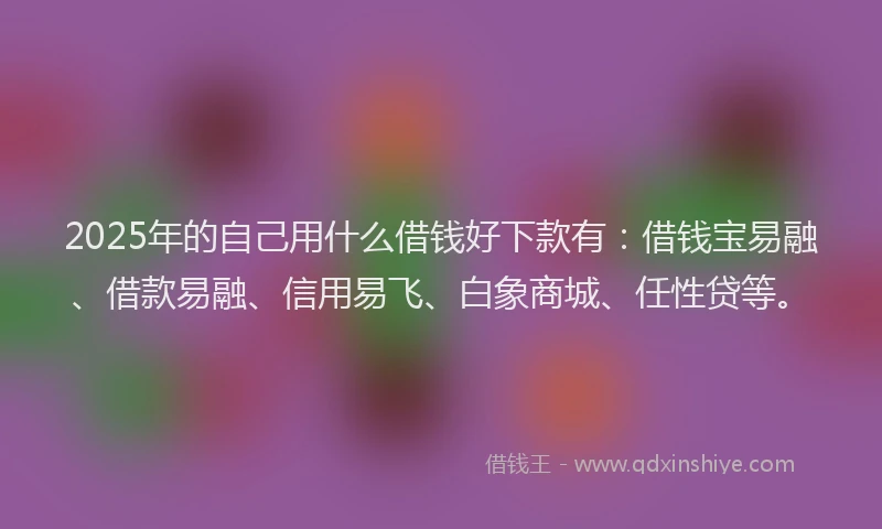 2025年的自己用什么借钱好下款有：借钱宝易融、借款易融、信用易飞、白象商城、任性贷等。