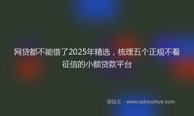 网贷都不能借了2025年精选，梳理五个正规不看征信的小额贷款平台