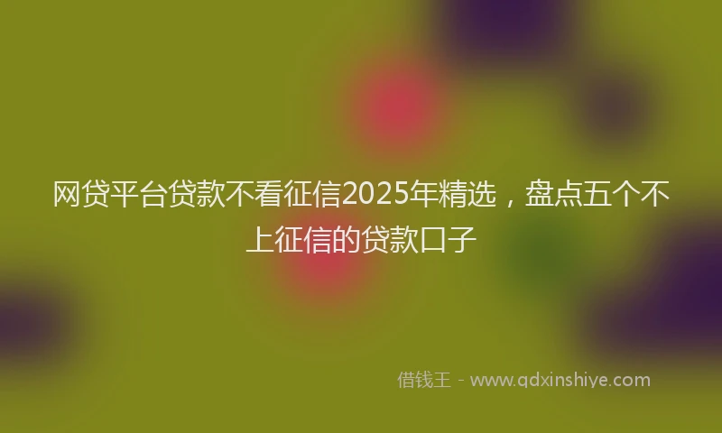 网贷平台贷款不看征信2025年精选，盘点五个不上征信的贷款口子