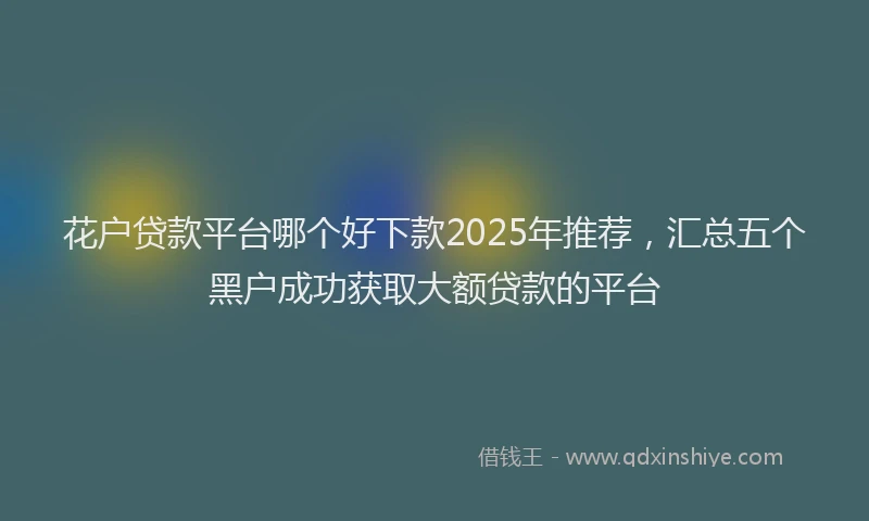 花户贷款平台哪个好下款2025年推荐，汇总五个黑户成功获取大额贷款的平台