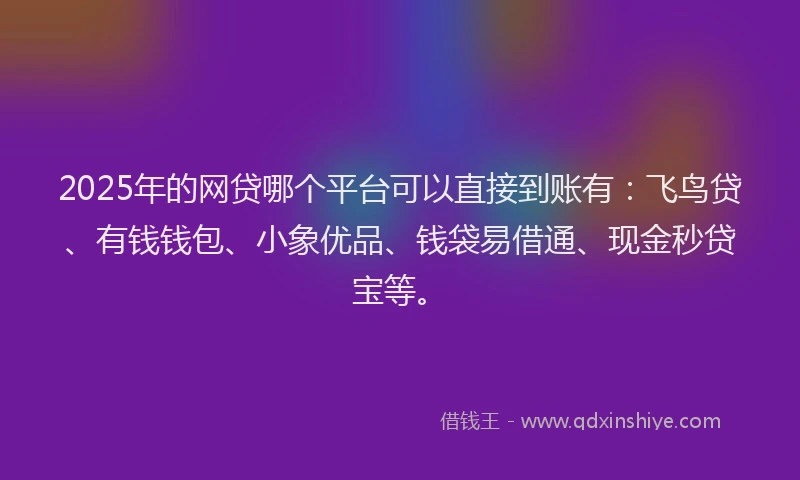 2025年的网贷哪个平台可以直接到账有：飞鸟贷、有钱钱包、小象优品、钱袋易借通、现金秒贷宝等。