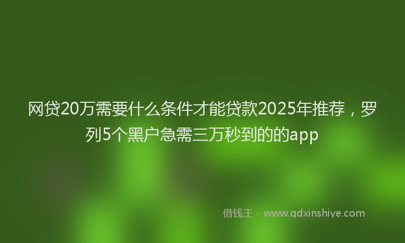 网贷20万需要什么条件才能贷款2025年推荐，罗列5个黑户急需三万秒到的的app