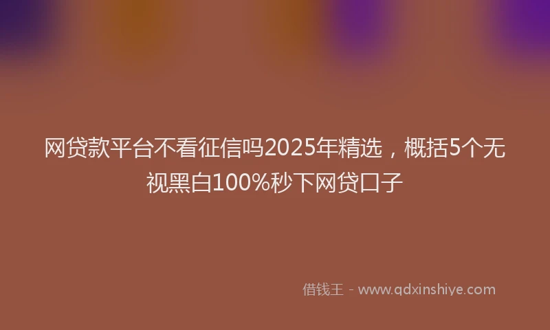 网贷款平台不看征信吗2025年精选，概括5个无视黑白100%秒下网贷口子