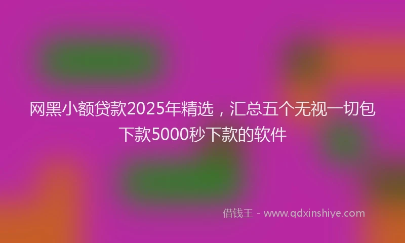 网黑小额贷款2025年精选，汇总五个无视一切包下款5000秒下款的软件