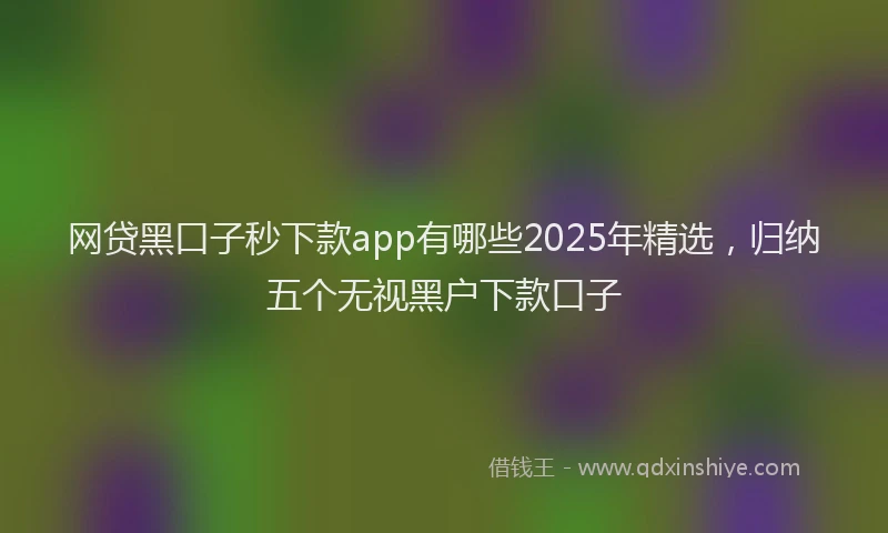 网贷黑口子秒下款app有哪些2025年精选，归纳五个无视黑户下款口子