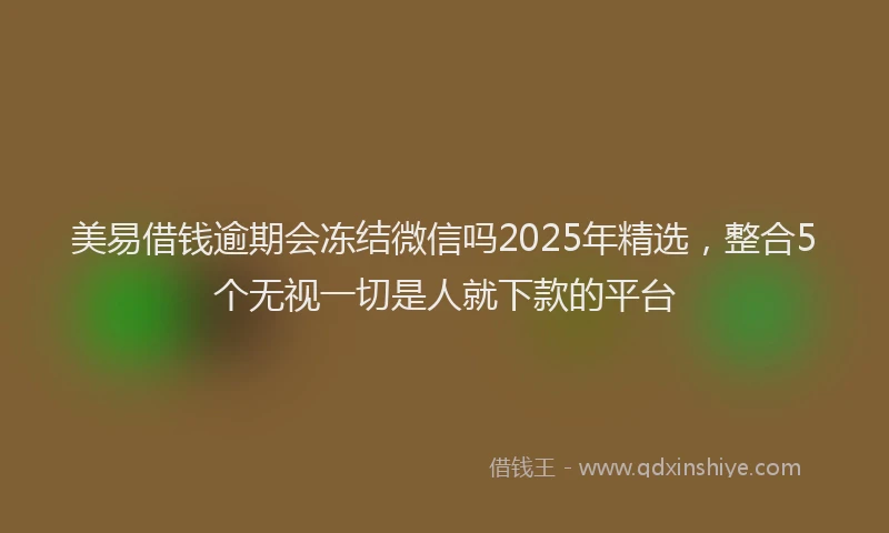 美易借钱逾期会冻结微信吗2025年精选，整合5个无视一切是人就下款的平台