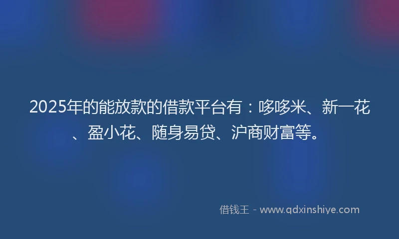 2025年的能放款的借款平台有：哆哆米、新一花、盈小花、随身易贷、沪商财富等。