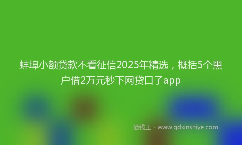 蚌埠小额贷款不看征信2025年精选，概括5个黑户借2万元秒下网贷口子app
