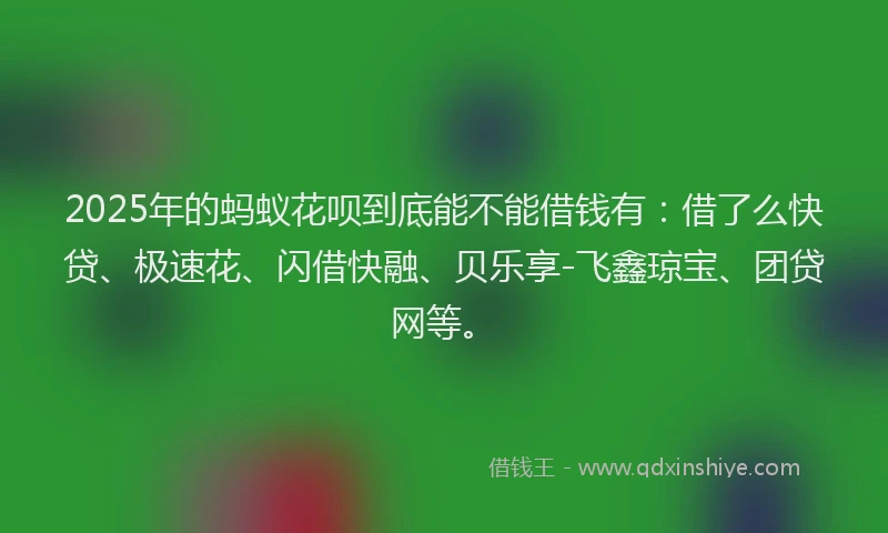 2025年的蚂蚁花呗到底能不能借钱有：借了么快贷、极速花、闪借快融、贝乐享-飞鑫琼宝、团贷网等。