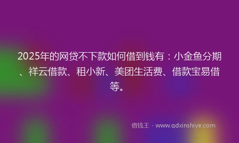 2025年的网贷不下款如何借到钱有：小金鱼分期、祥云借款、租小新、美团生活费、借款宝易借等。