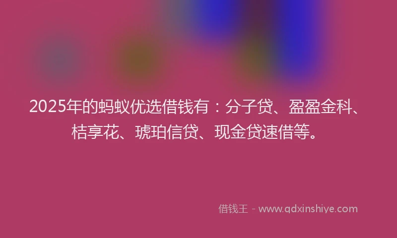 2025年的蚂蚁优选借钱有：分子贷、盈盈金科、桔享花、琥珀信贷、现金贷速借等。