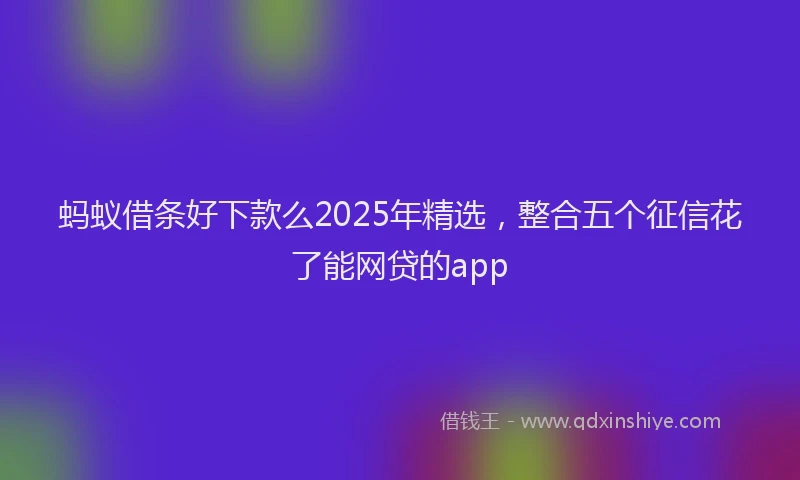 蚂蚁借条好下款么2025年精选，整合五个征信花了能网贷的app