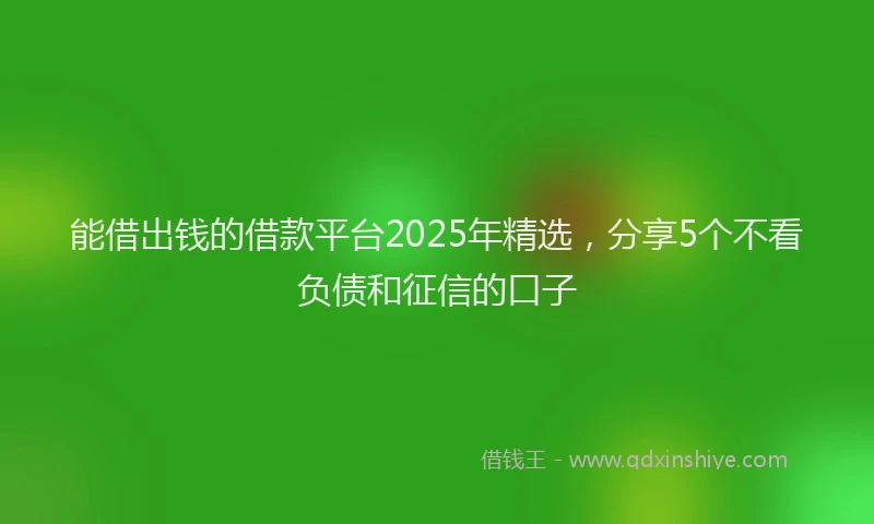 能借出钱的借款平台2025年精选，分享5个不看负债和征信的口子