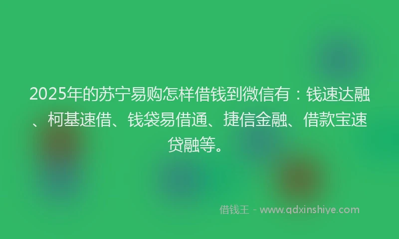 2025年的苏宁易购怎样借钱到微信有：钱速达融、柯基速借、钱袋易借通、捷信金融、借款宝速贷融等。