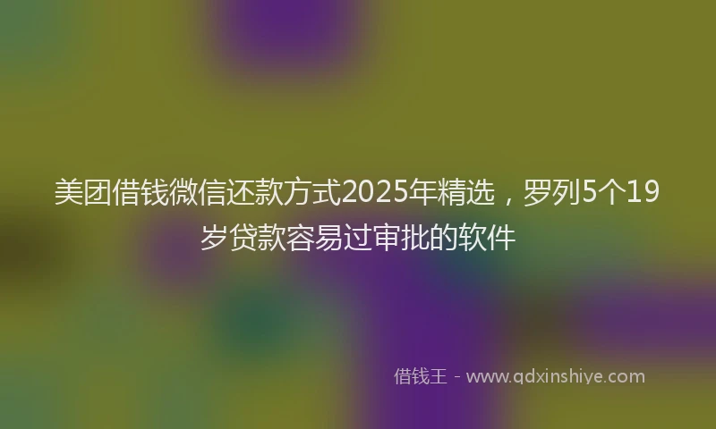 美团借钱微信还款方式2025年精选，罗列5个19岁贷款容易过审批的软件