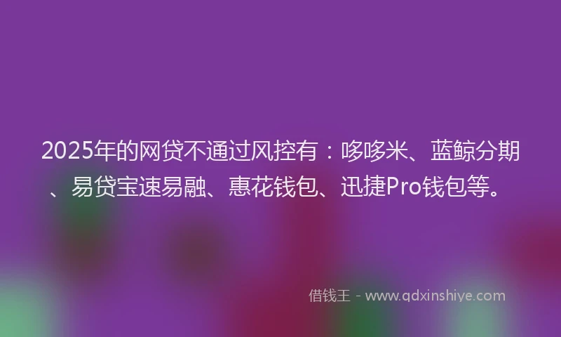 2025年的网贷不通过风控有：哆哆米、蓝鲸分期、易贷宝速易融、惠花钱包、迅捷Pro钱包等。