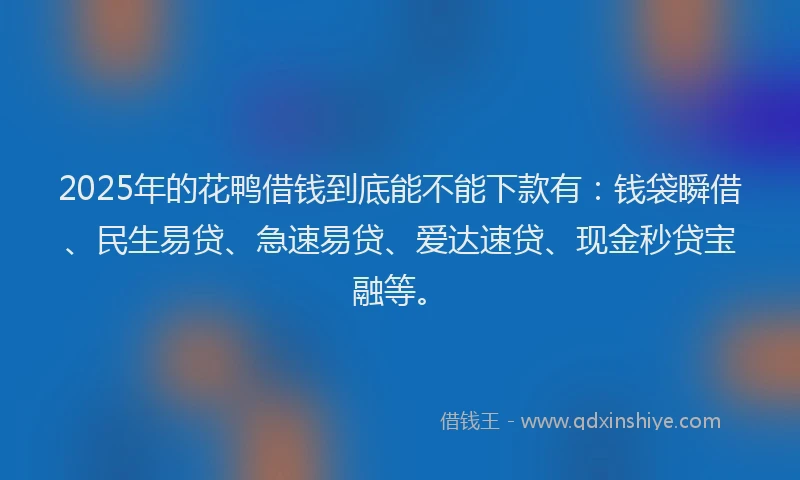 2025年的花鸭借钱到底能不能下款有：钱袋瞬借、民生易贷、急速易贷、爱达速贷、现金秒贷宝融等。