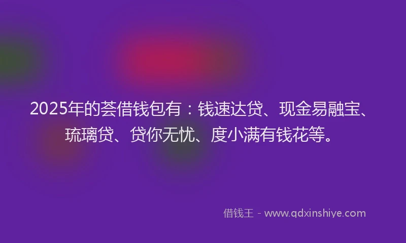 2025年的荟借钱包有：钱速达贷、现金易融宝、琉璃贷、贷你无忧、度小满有钱花等。