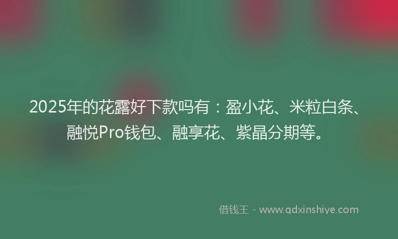 2025年的花露好下款吗有：盈小花、米粒白条、融悦Pro钱包、融享花、紫晶分期等。
