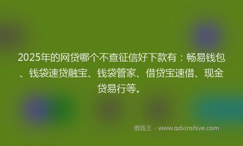 2025年的网贷哪个不查征信好下款有：畅易钱包、钱袋速贷融宝、钱袋管家、借贷宝速借、现金贷易行等。