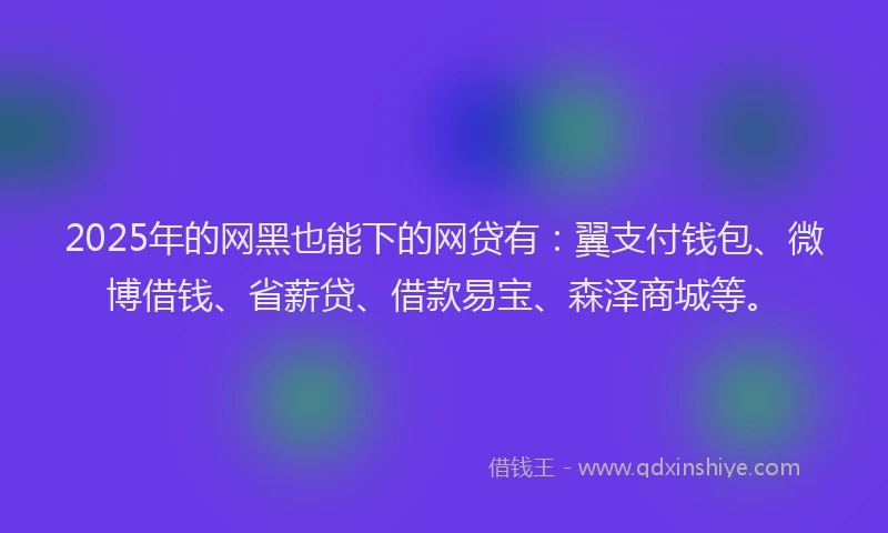 2025年的网黑也能下的网贷有：翼支付钱包、微博借钱、省薪贷、借款易宝、森泽商城等。
