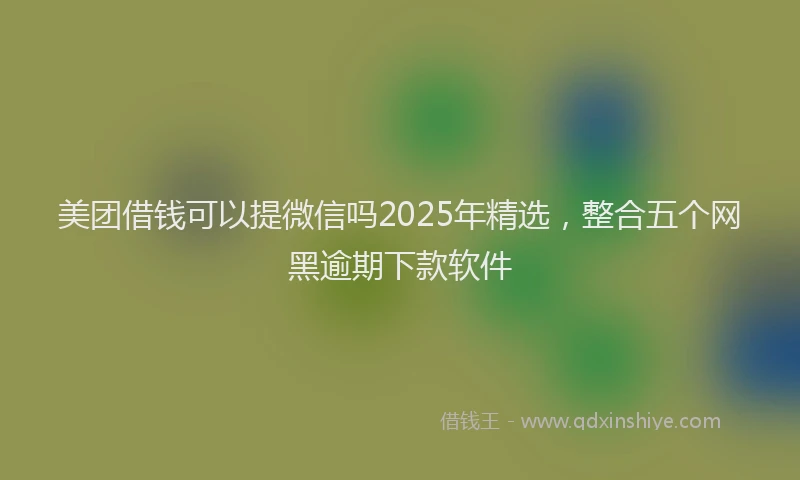 美团借钱可以提微信吗2025年精选，整合五个网黑逾期下款软件