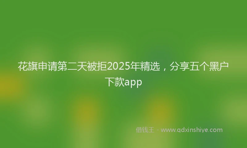 花旗申请第二天被拒2025年精选，分享五个黑户下款app