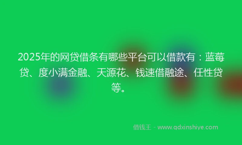 2025年的网贷借条有哪些平台可以借款有：蓝莓贷、度小满金融、天源花、钱速借融途、任性贷等。