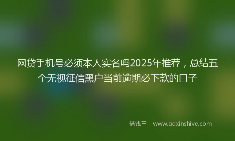 网贷手机号必须本人实名吗2025年推荐，总结五个无视征信黑户当前逾期必下款的口子