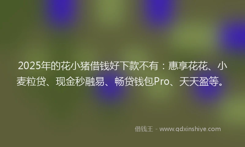 2025年的花小猪借钱好下款不有：惠享花花、小麦粒贷、现金秒融易、畅贷钱包Pro、天天盈等。