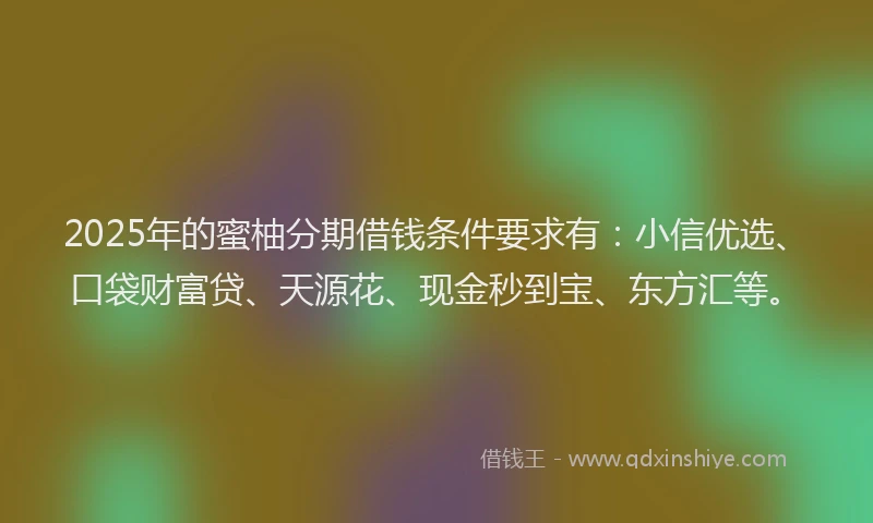 2025年的蜜柚分期借钱条件要求有：小信优选、口袋财富贷、天源花、现金秒到宝、东方汇等。