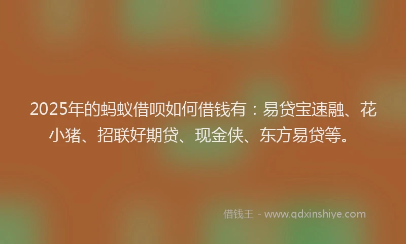 2025年的蚂蚁借呗如何借钱有：易贷宝速融、花小猪、招联好期贷、现金侠、东方易贷等。