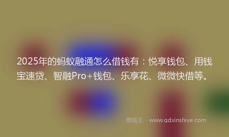 2025年的蚂蚁融通怎么借钱有：悦享钱包、用钱宝速贷、智融Pro+钱包、乐享花、微微快借等。