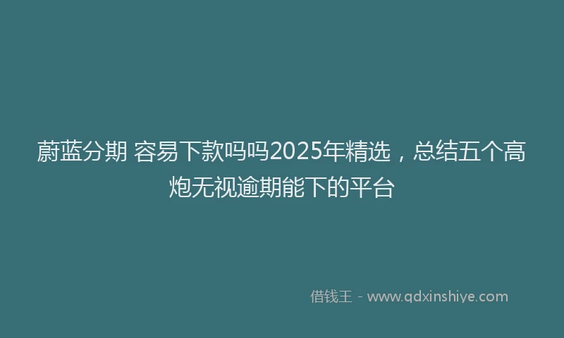 蔚蓝分期 容易下款吗吗2025年精选，总结五个高炮无视逾期能下的平台