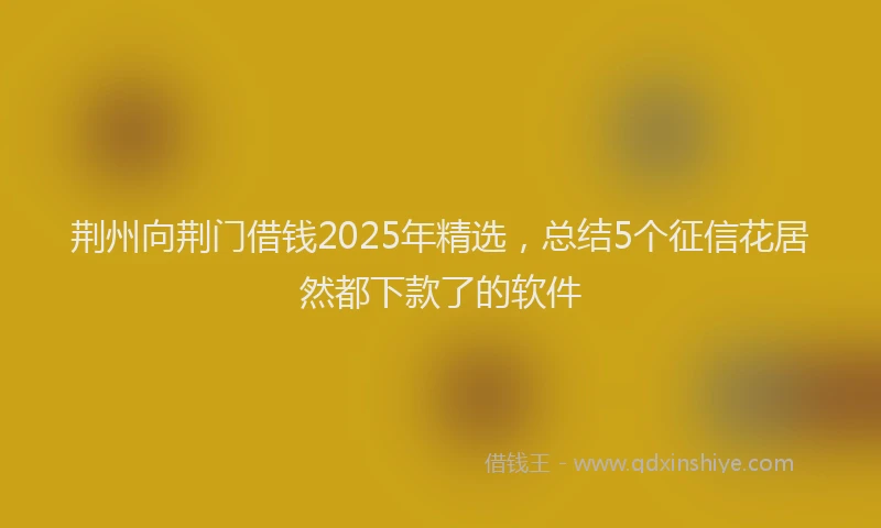 荆州向荆门借钱2025年精选，总结5个征信花居然都下款了的软件