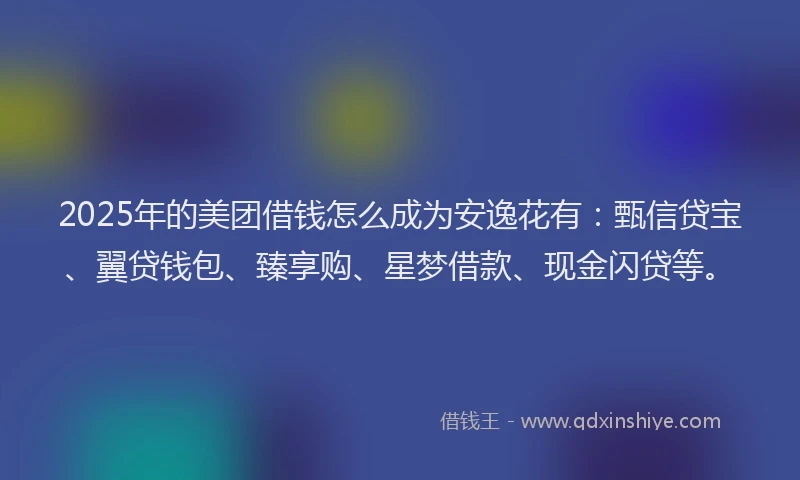 2025年的美团借钱怎么成为安逸花有：甄信贷宝、翼贷钱包、臻享购、星梦借款、现金闪贷等。