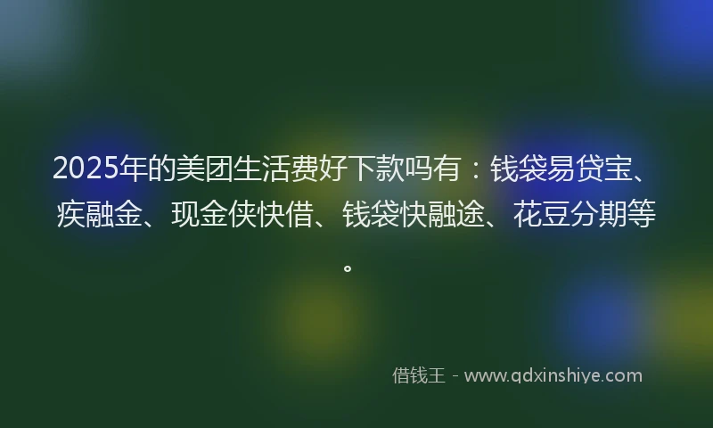 2025年的美团生活费好下款吗有：钱袋易贷宝、疾融金、现金侠快借、钱袋快融途、花豆分期等。