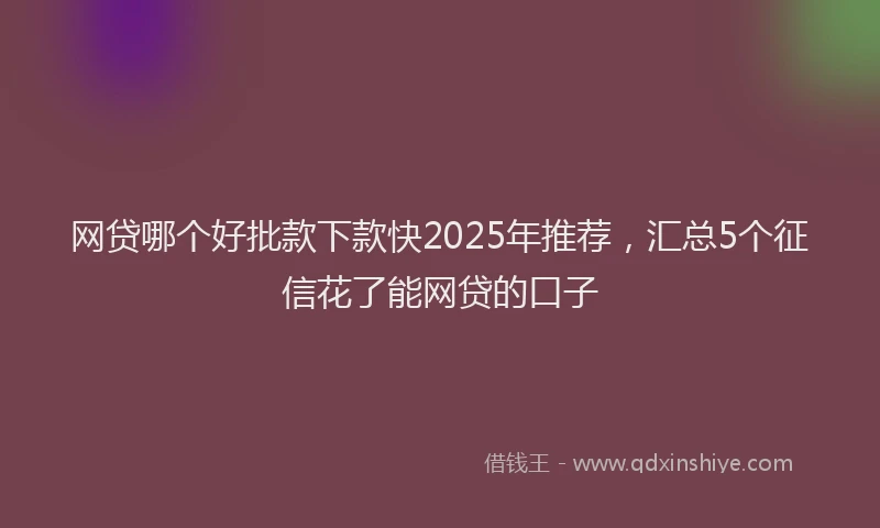 网贷哪个好批款下款快2025年推荐，汇总5个征信花了能网贷的口子