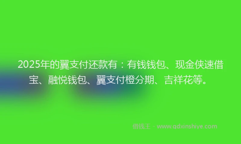 2025年的翼支付还款有：有钱钱包、现金侠速借宝、融悦钱包、翼支付橙分期、吉祥花等。