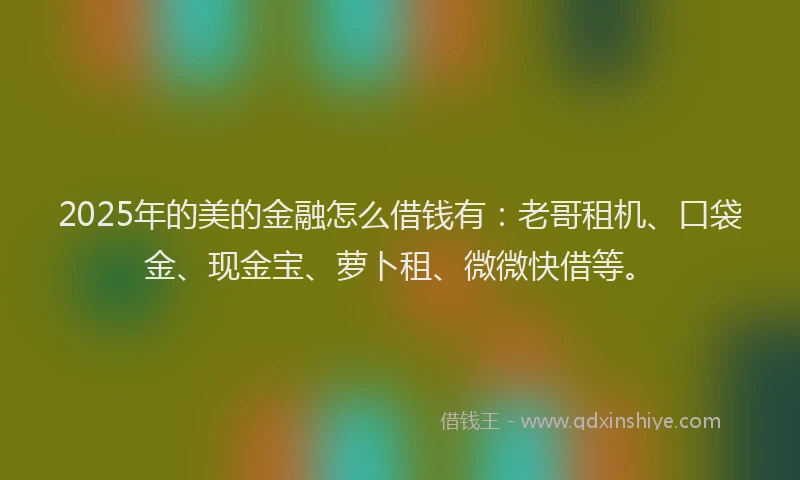 2025年的美的金融怎么借钱有：老哥租机、口袋金、现金宝、萝卜租、微微快借等。