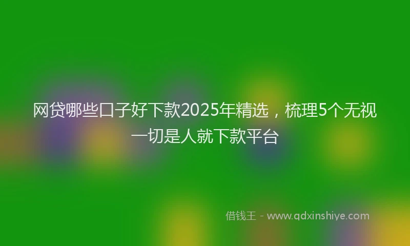 网贷哪些口子好下款2025年精选，梳理5个无视一切是人就下款平台