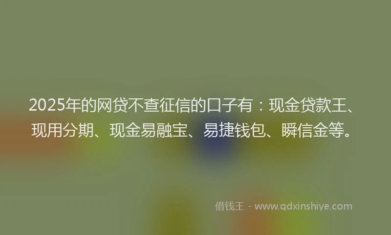 2025年的网贷不查征信的口子有：现金贷款王、现用分期、现金易融宝、易捷钱包、瞬信金等。
