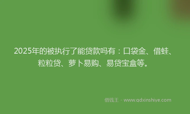 2025年的被执行了能贷款吗有：口袋金、借蛙、粒粒贷、萝卜易购、易贷宝盒等。