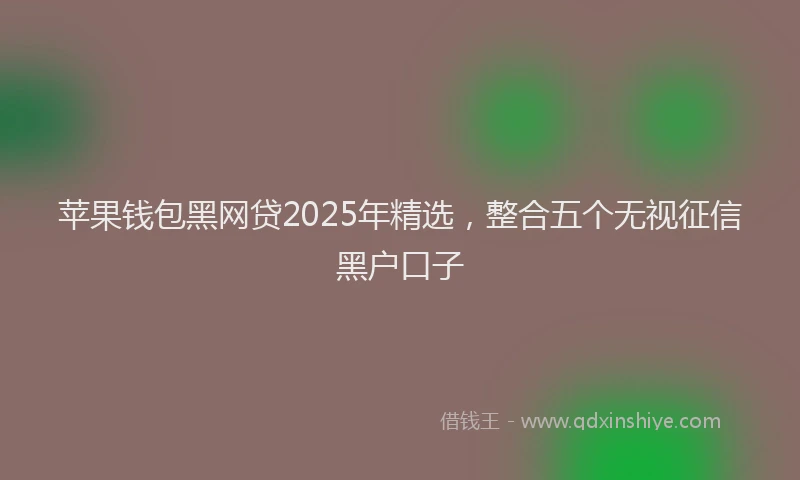 苹果钱包黑网贷2025年精选，整合五个无视征信黑户口子