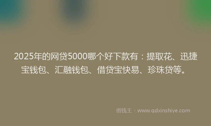 2025年的网贷5000哪个好下款有：提取花、迅捷宝钱包、汇融钱包、借贷宝快易、珍珠贷等。