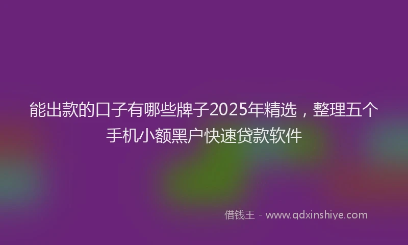 能出款的口子有哪些牌子2025年精选，整理五个手机小额黑户快速贷款软件