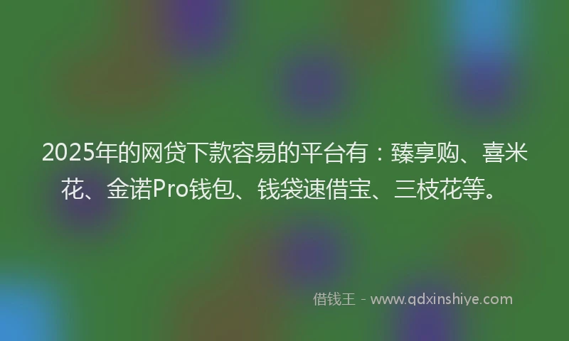 2025年的网贷下款容易的平台有：臻享购、喜米花、金诺Pro钱包、钱袋速借宝、三枝花等。