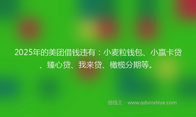 2025年的美团借钱违有：小麦粒钱包、小赢卡贷、臻心贷、我来贷、橄榄分期等。