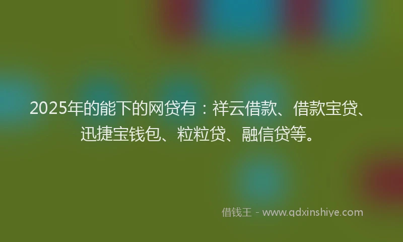 2025年的能下的网贷有：祥云借款、借款宝贷、迅捷宝钱包、粒粒贷、融信贷等。